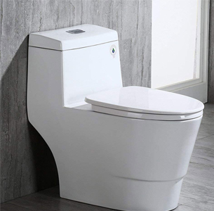 WOODBRIDGE T-0019, Dual Flush Flushing Toilet