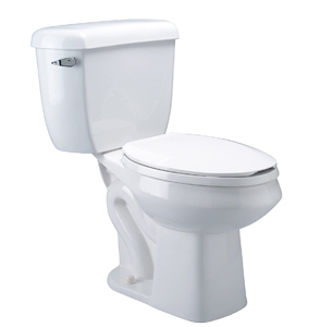 Zurn Z5572 Dual Flush Pressure Assist Toilet