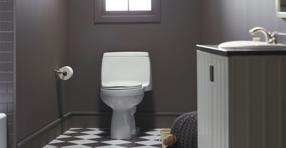 8 Best Kohler Toilet Reviews: Most Popular Kohler Toilet Ratings